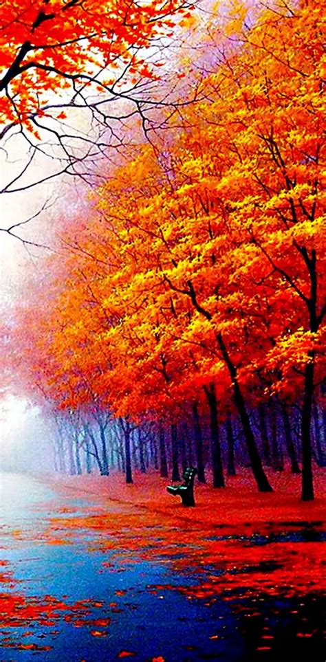 Beautiful Nature Wallpaper By Dashti33 Download On Zedge 6cb9