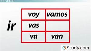 Spanish Verb Ir Overview Forms Conjugation Lesson Study Com