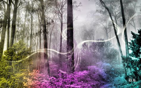 Enchanted Forest Backgrounds Wallpaper Cave