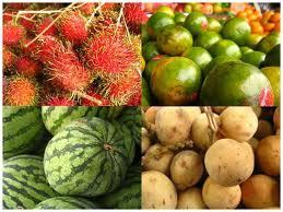 Buah buahan tempatan di malaysia. Buah-buahan tempatan di Malaysia