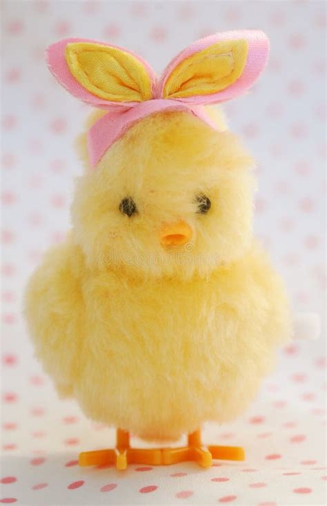 Easter Chick In Bunny Ears Stock Image Image Of Chicken 4057611