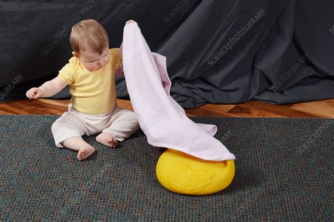 Object Permanence 3 Of 3 Stock Image C0363817 Science Photo Library