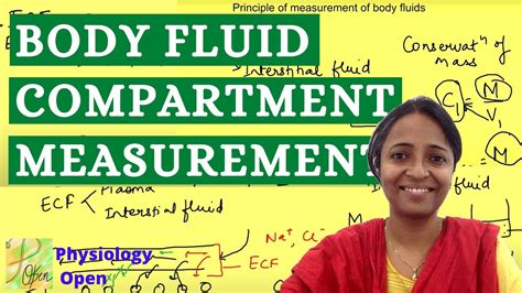 body fluid compartments youtube osmosis skinsbezy