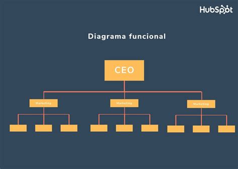 Estructura Organizacional Funcional Coggle Diagram Gambaran