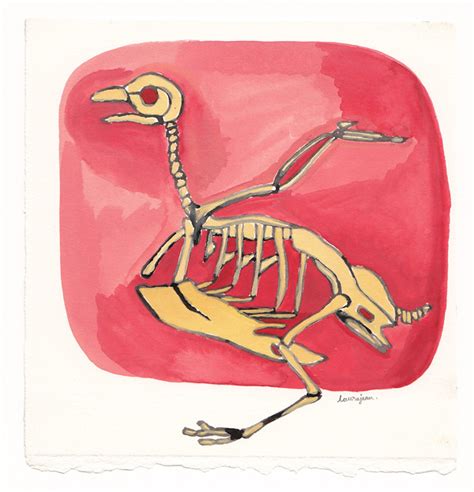 Bird Skeleton Gouache On Paper Laura Fetterley Flickr