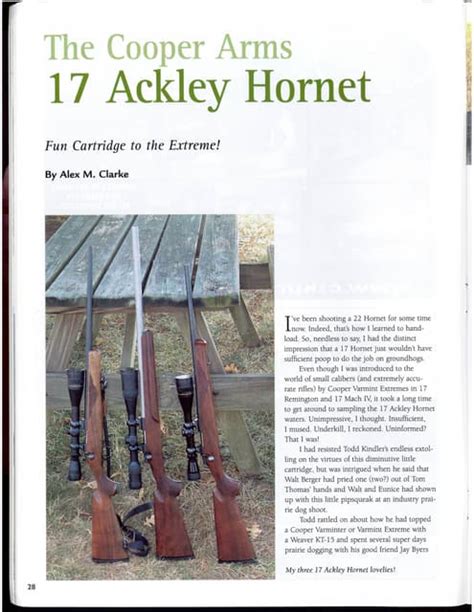 The Cooper Arms 17 Ackley Hornet Alex Clarke Pdf