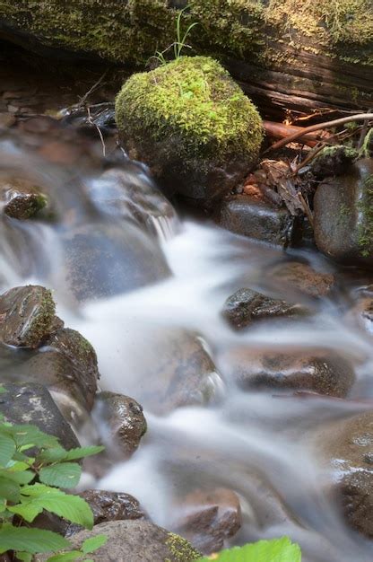 Premium Photo Water Flows Down Mossy Brook Wild Forest Stream Waterfall