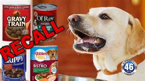 Recalls of food products due to safety and sanitation issues are common, but some food manufacturers are so large that a recall can impact the entire country. 02/22/2018 Dog Food Recall - YouTube