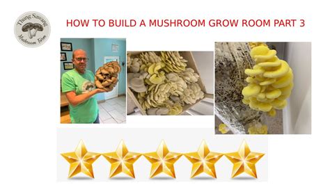 How To Build A Mushroom Grow Room Part 3 Youtube