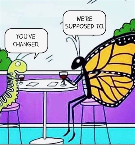 Funny Butterfly Quotes Shortquotes Cc