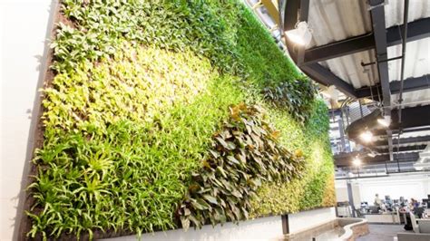 Top 10 Benefits Of Living Green Walls Ecobnb
