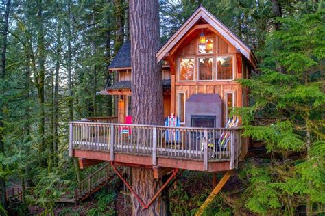 Tree House Design Ideas That Will Make You Feel Amazing