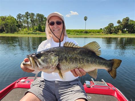 Pictures Central Florida Bass Charters Central Florida Bass Charters