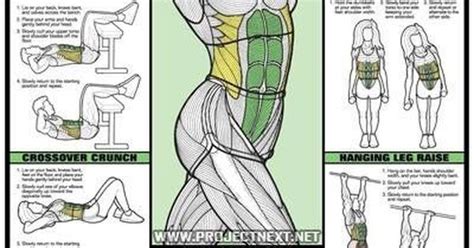 We did not find results for: Abs female diagram | Let's get fit! | Pinterest | Exercises