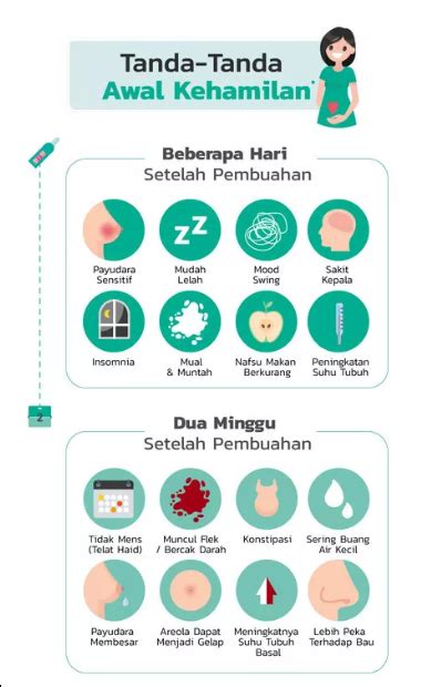 Terdapat beberapa jenis makanan yang boleh. Tanda Awal Kehamilan Yang Perlu Anda Ketahui | RSU ANDHIKA