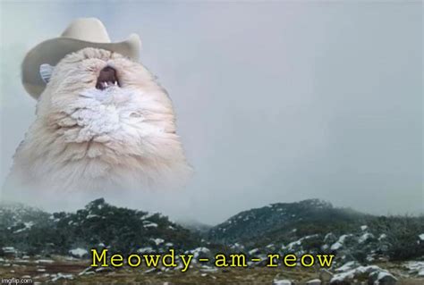 Image Tagged In Cat Cowboy Hat Imgflip