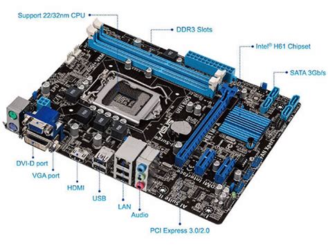 Asus H61m A Intel H61 Socket 1155 Motherboard Novatech
