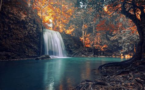 4560840 Nature Fall Tropical Landscape Roots Waterfall Colorful Trees Wallpaper