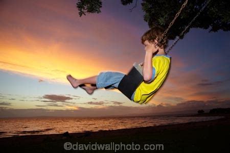 The hd version looks amazing. Young Boy on Rope Swing under Pohutukawa Tree at Sunset ...