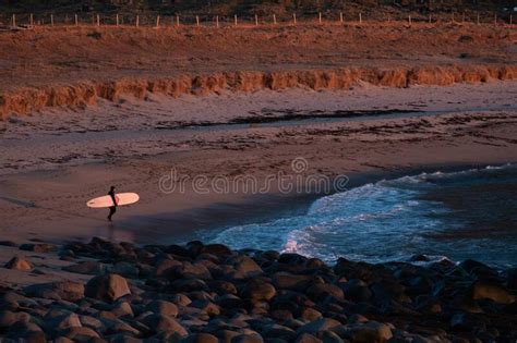 Longboard Surfing Woman Surfing During Amazing Sunset Midnight Sun In