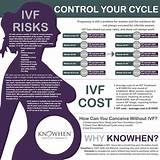 Ivf Treatment Process Timeline Pictures