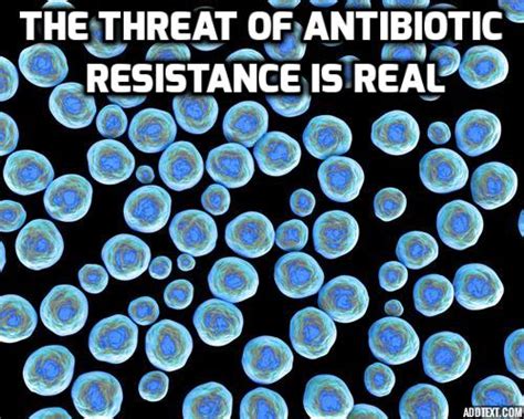 Antibiotic Resistance Could Be Biggest Global Threat Info Boil