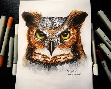 Realistic Owl Drawing At Getdrawings Free Download