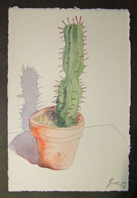 A cactus traditionally eaten by kalahari bushmen has been found to contain a potent appetite suppressant. Dan Young, Daily: November 2009