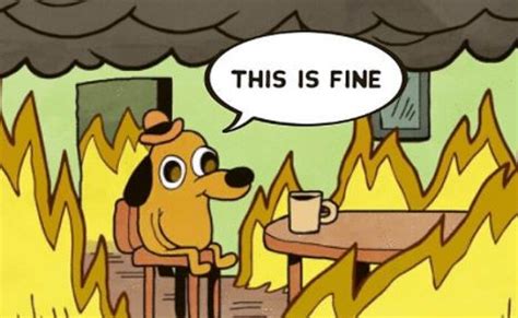 Pin By Pen On Random In 2021 This Is Fine Dog This Is Fine Meme