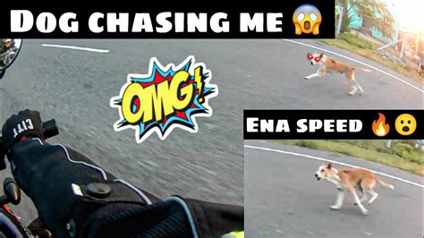 Dog Chasing Me😰 Ena Speed Uh 😮 Kottaipattinam To Madurai Motovlog