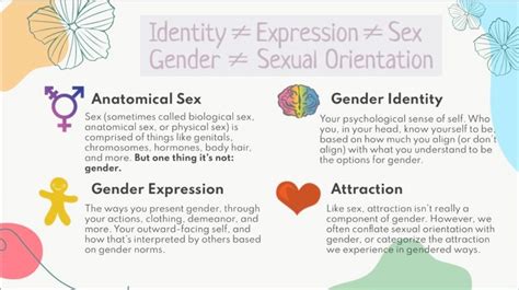See The Materials Being Used To Teach High School Students Gender Ideology