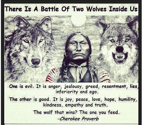 Two Wolves Two Wolves Native American Quotes Wolf Quotes