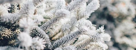 Der ostersonntag ist der wichtigste kirchliche feiertag in deutschland. 5 schöne Dinge, die ihr an einem Sonntag im Winter machen ...