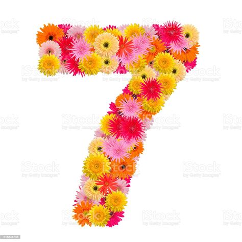 Flower Number Seven Stock Photo Download Image Now Istock