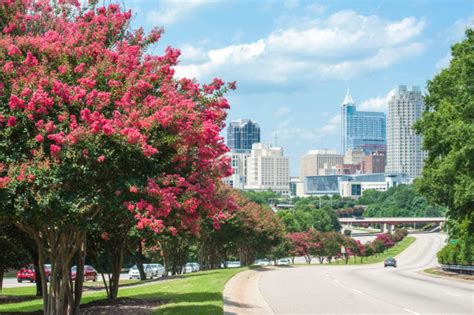 The 20 Best Places To Live In Raleigh Nc