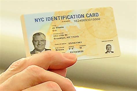NY Democrats Vow To Destroy Illegal Immigrant ID Records If TeaParty