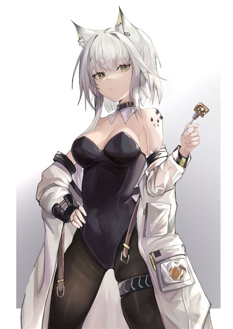 Tabayashi Kal Tsit Arknights Arknights Silver Hair Absurdres Commentary Request Highres