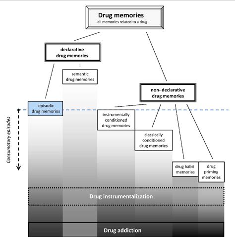 Figure 1 From Episodic Memories And Their Relevance For Psychoactive