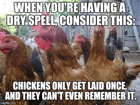 Chickens Imgflip