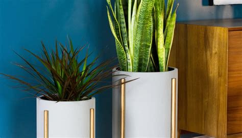 Indoor planters: Our favorites for the modern home - Mid-Century Modern