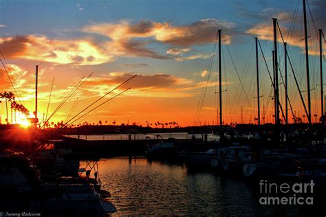 Sunset At Newport Beach Harbor Photograph By Tommy Anderson