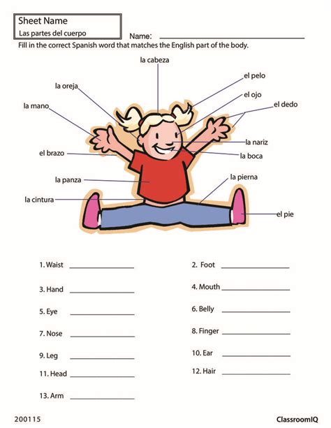 Body Parts Diagram In Spanish Spanish Body Parts Labelling Worksheet