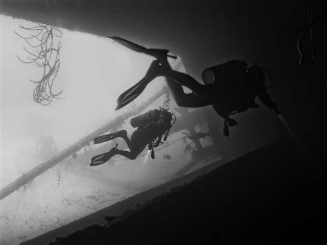 7 fantastic mykonos dive sites sheer underwater majesty kinglike