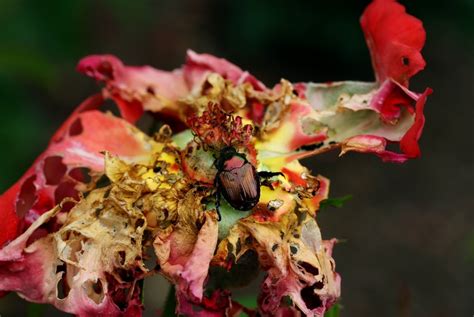 Maybe you would like to learn more about one of these? Don't Let Your Guard Down - Kelley Latta Ministries