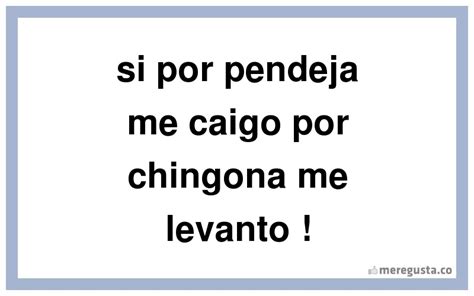 Si Por Pendeja Me Caigo Por Chingona Me Levanto Quotes QuotesGram