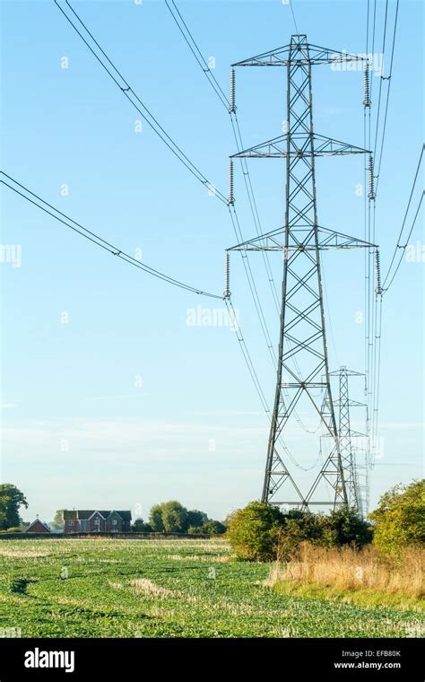 Electricity Pylon Carrying Power Lines Through A Field And Dominating