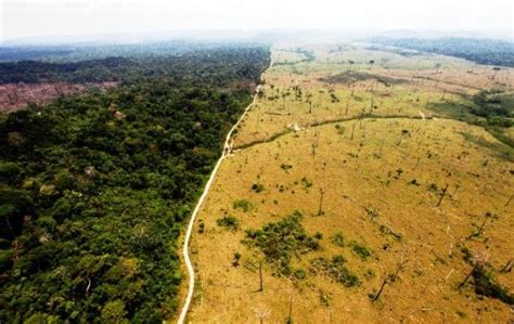 25 Fotos Antes E Depois Da Natureza Que São Inacreditáveis Desmatamento Na Amazonia Natureza
