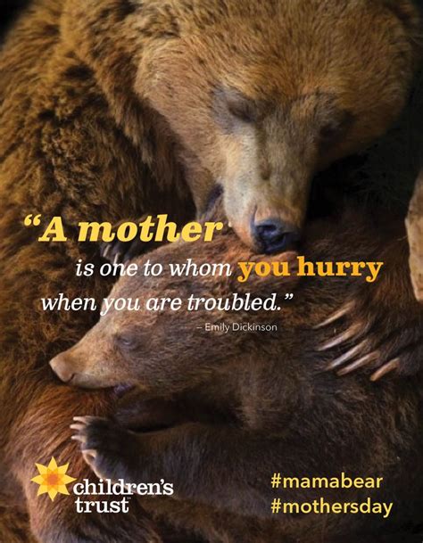14 Best Mama Bears Images On Pinterest The Mama Mothers Love And