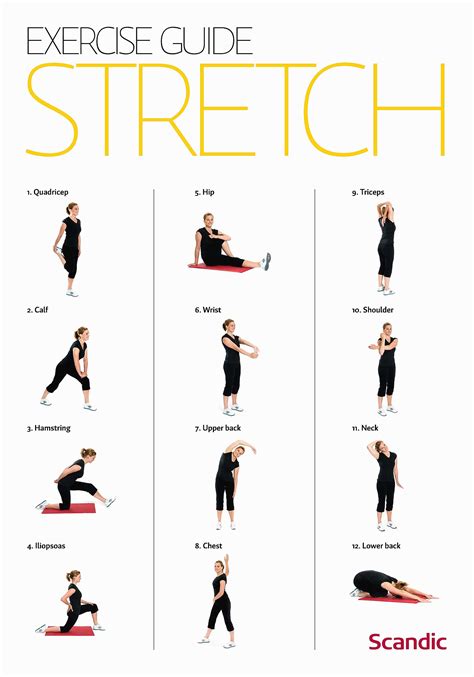 Printable Chair Exercises For Seniors With Pictures Pdf Printable