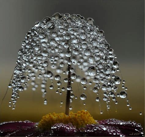 Beautiful Water Drops 44 Top Web Pics